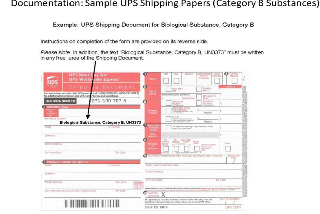 UPS Shipping Paper Example

This image provides an example UPS Shipping Document for Biological Substance, Category B. To complete this type of form, instructions are provided on the back of the shipping document. It is important to note, that the text "Biological Substance, Category B, UN3373," must be written in any free area of the Shipping Document.